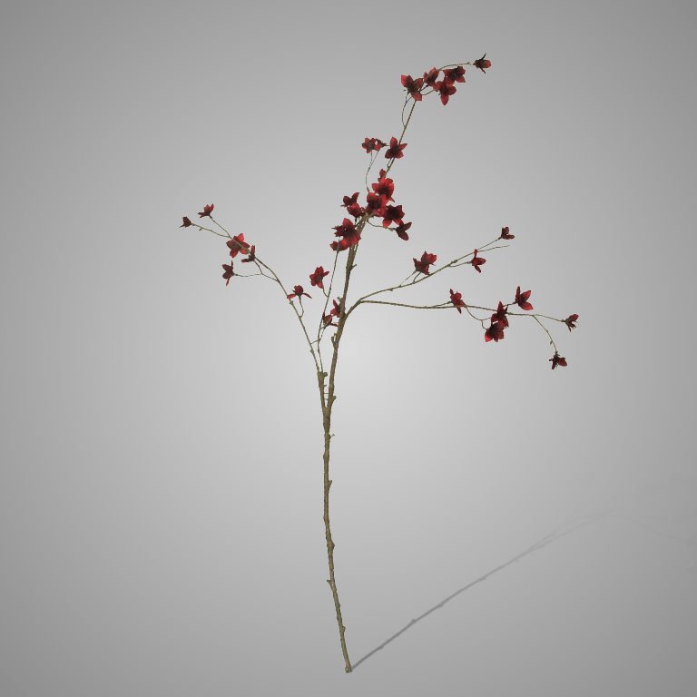Cornus Bordeaux- Zijdetak. 110 cm || Brynxz. - Afbeelding 9