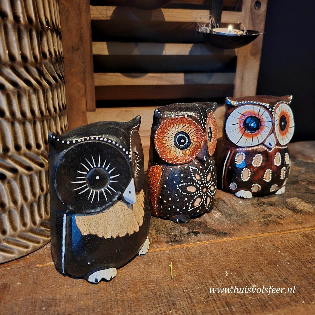 Uil- Hout. - Afbeelding 3