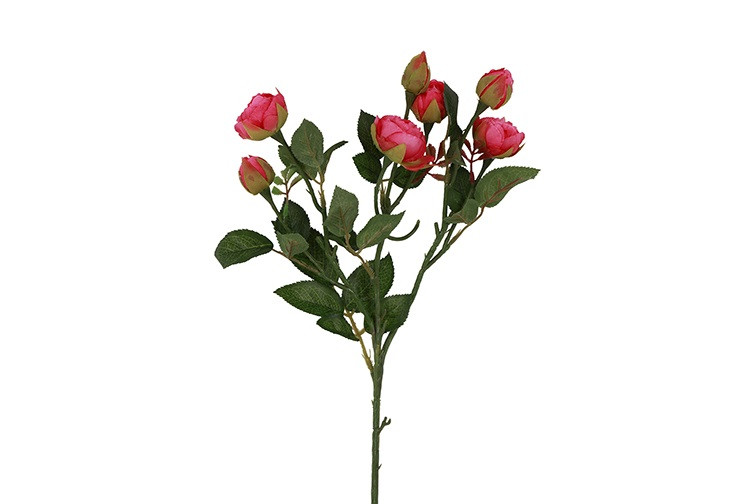 Zijdetak Rosa || Fuchsia - Afbeelding 5