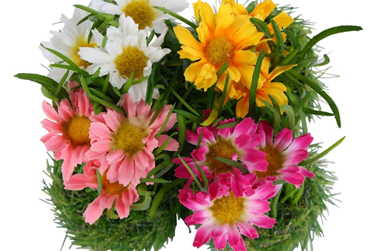 Cosmos- Graspotje || Fuchsia - Afbeelding 6
